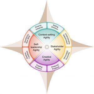compass leadership agility coaching program presentation framework